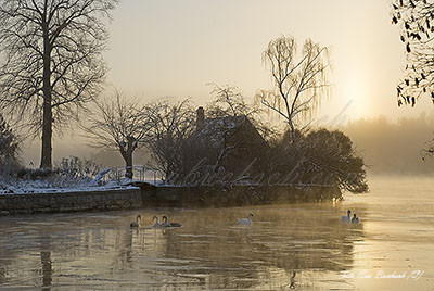 Foto av Eva Bucksch